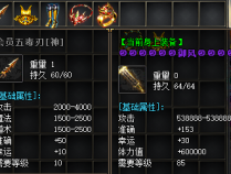 特殊装备组合佩戴会有什么效果呢