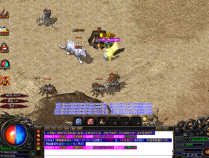 新开传奇sf怀旧版宝箱爆些什么